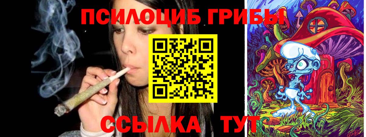 Галлюциногенные грибы мицелий Кубинка